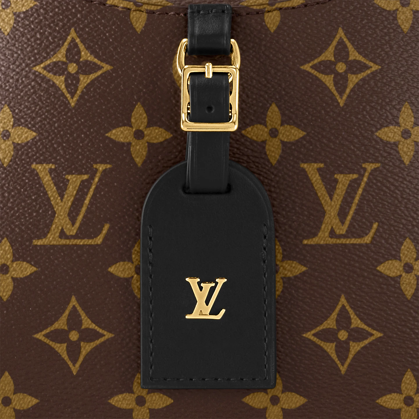 louis-vuitton-odéon-pm-monogram-handbags--M45353_PM1_Detail view